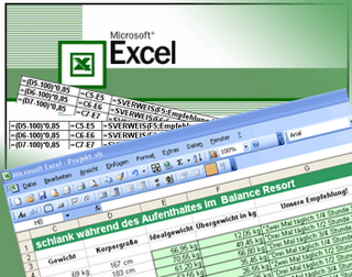 We will do/solve your excel project/problems
